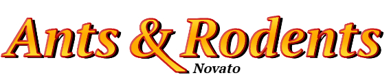 Novato Ant Exterminator & Rodent Control Company Logo